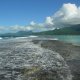 152- Le recif de Raiatea 